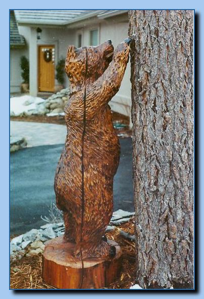 2-35 bear leaning on tree